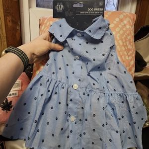 Gap dogs 🐕 blue dress 👗 size lg